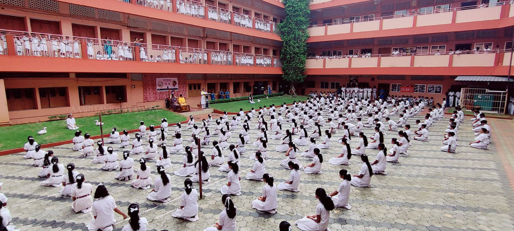 Amrita Vidyalayam Main Admin Author at Amrita Vidyalayams Chavakkad